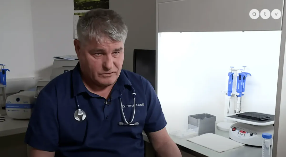 Magyar kutatók hozták létre az első mikrobióta-kapszulát!